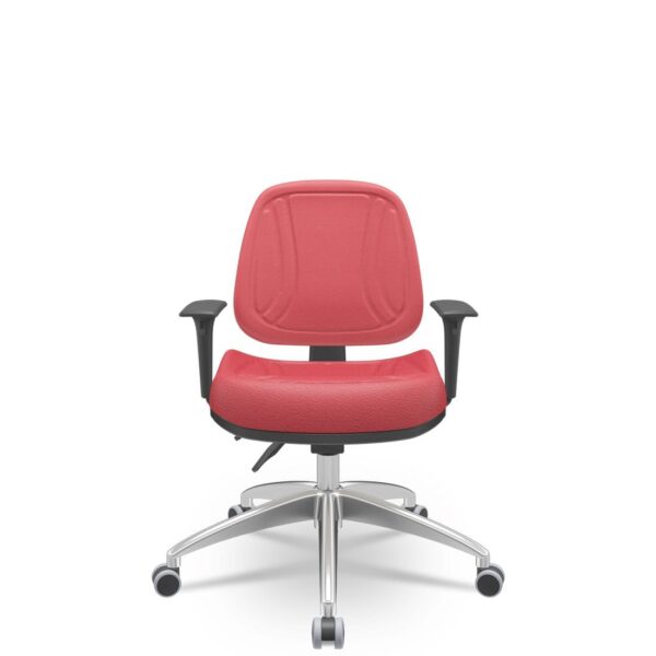premium-executiva-back-t33-1.jpg